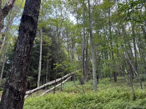 113 Moore, Woodbourne, NY