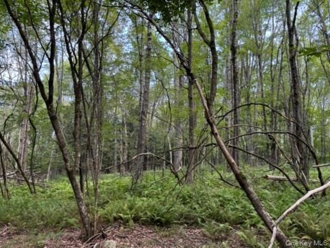 113 Moore, Woodbourne, NY