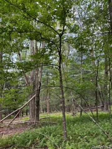 113 Moore, Woodbourne, NY