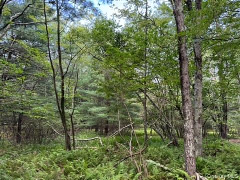 113 Moore, Woodbourne, NY