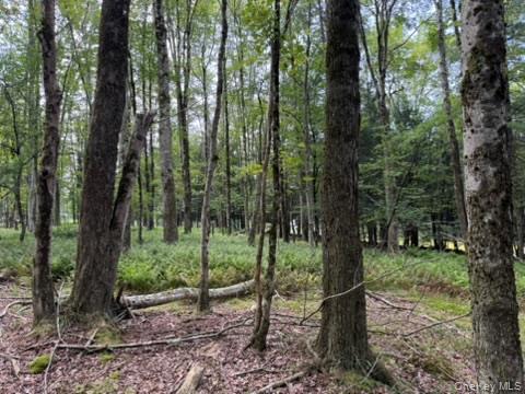 113 Moore, Woodbourne, NY