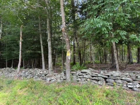 113 Moore, Woodbourne, NY