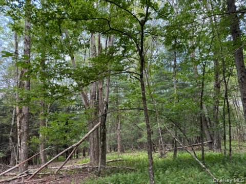 113 Moore, Woodbourne, NY