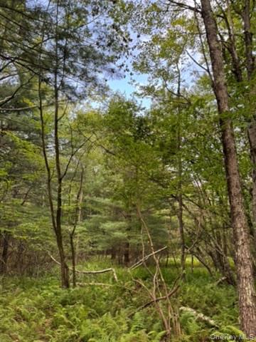 113 Moore, Woodbourne, NY