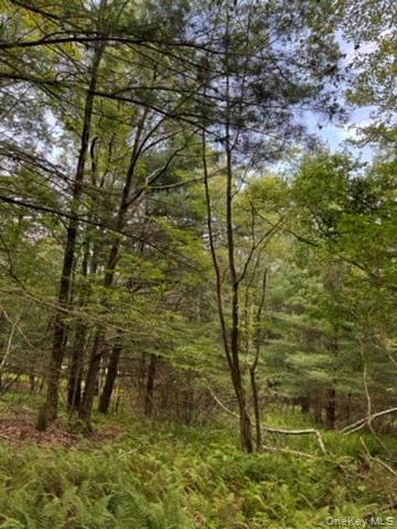 113 Moore, Woodbourne, NY