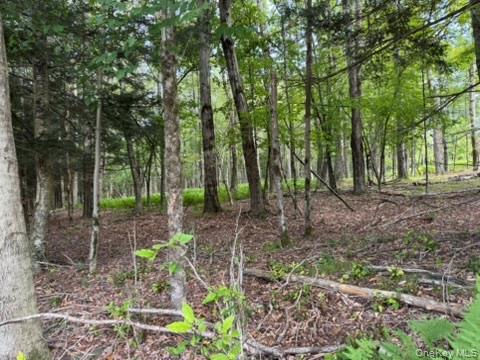 113 Moore, Woodbourne, NY