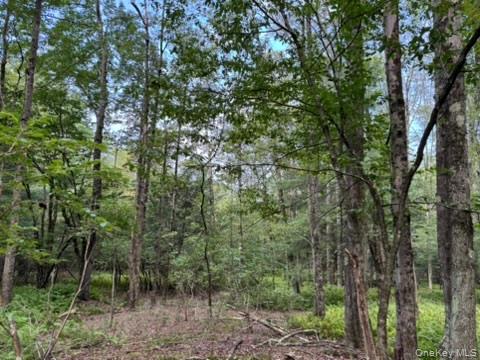 113 Moore, Woodbourne, NY