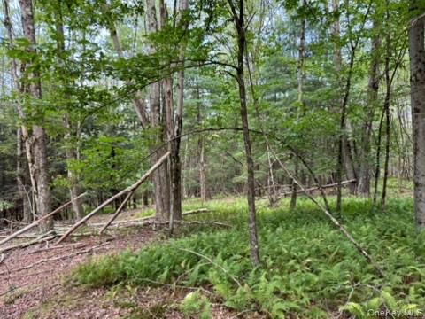 113 Moore, Woodbourne, NY