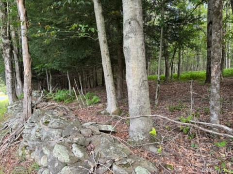 113 Moore, Woodbourne, NY