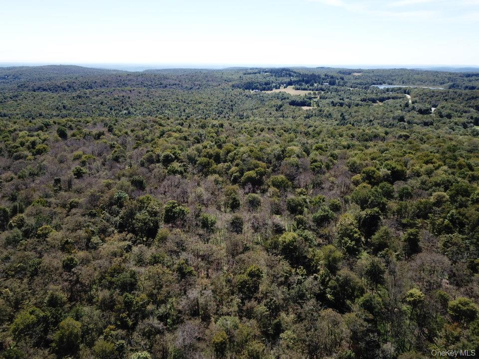 64 Schleiremacher, Livingston Manor, NY 12758