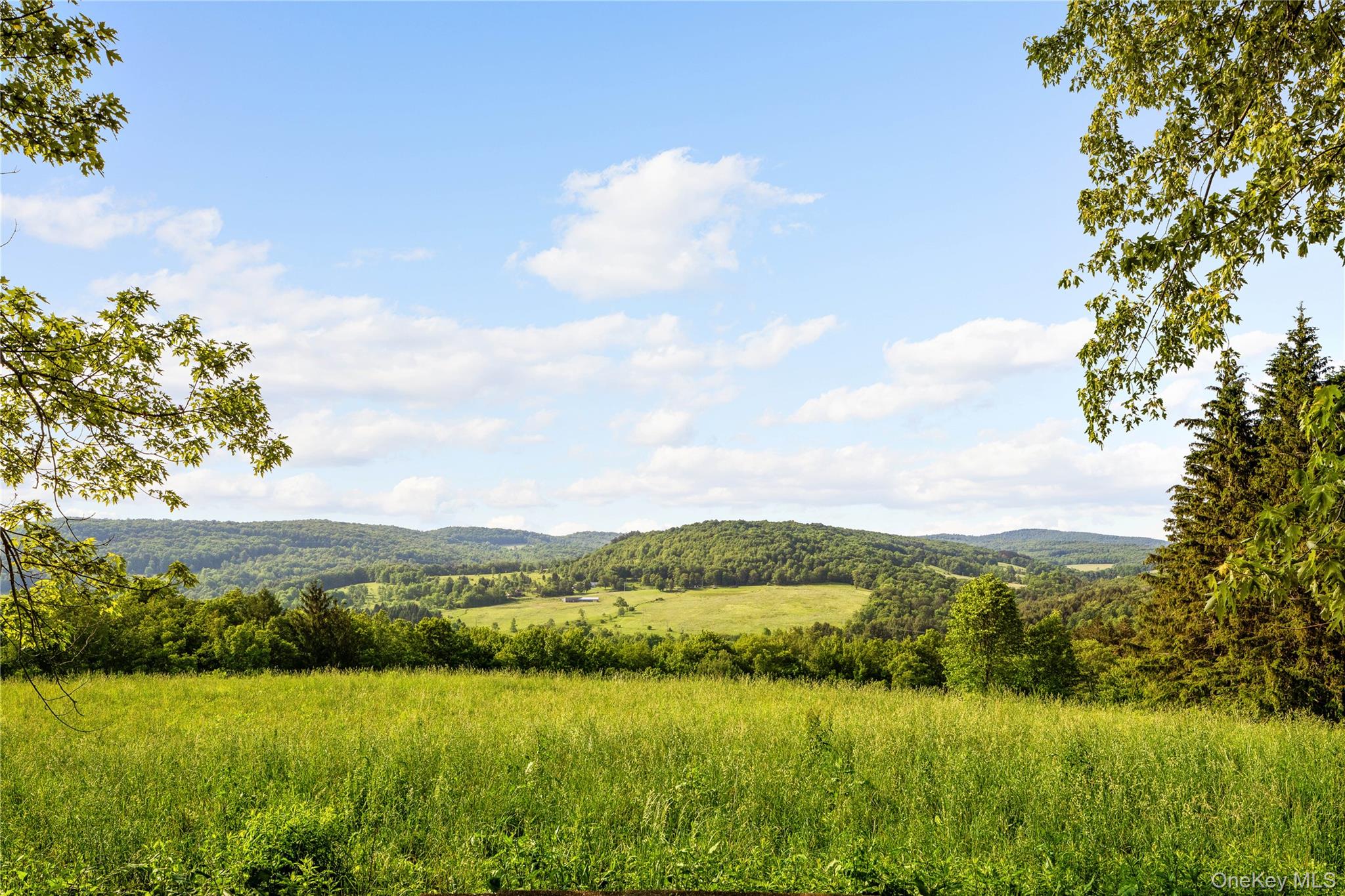 Bovina Center, NY 13740