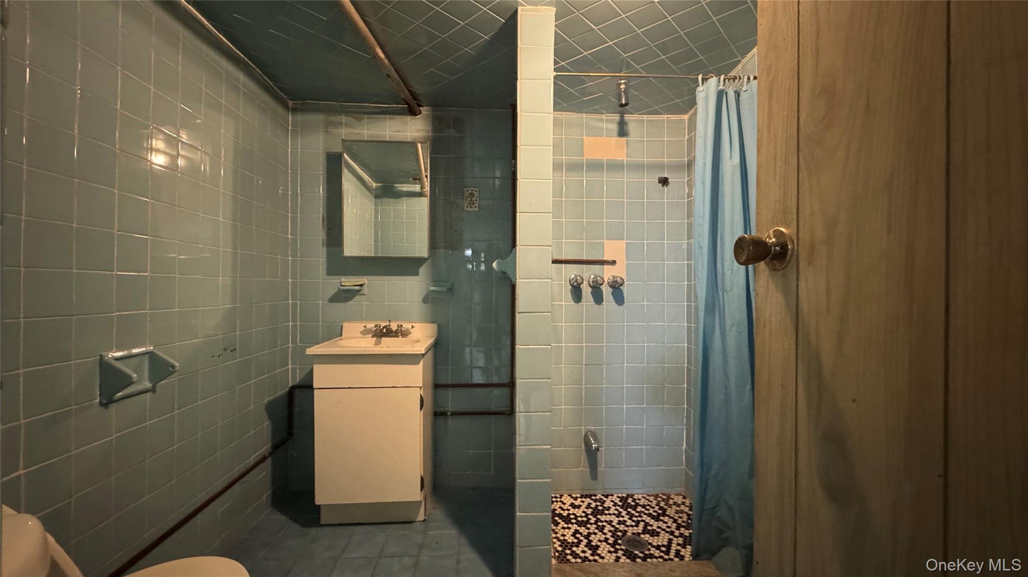 10154 102nd Street, Ozone Park, NY 11416