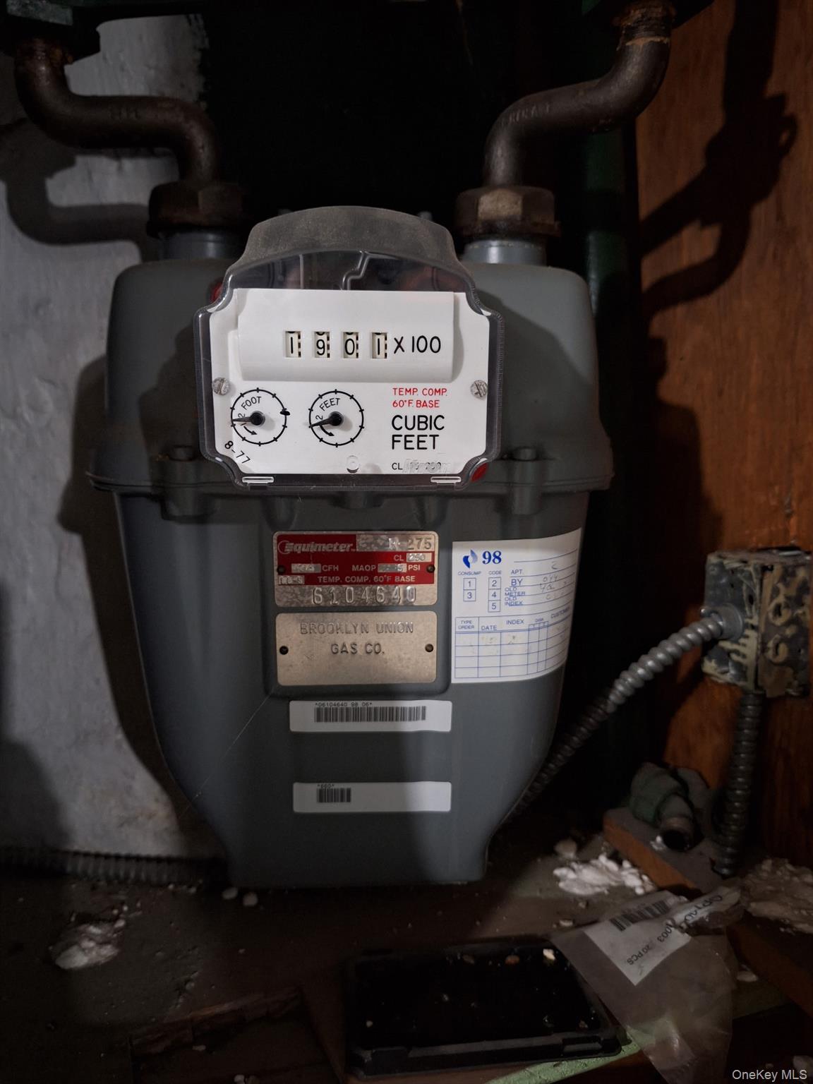 12 Danforth Street, Brooklyn, NY 11208