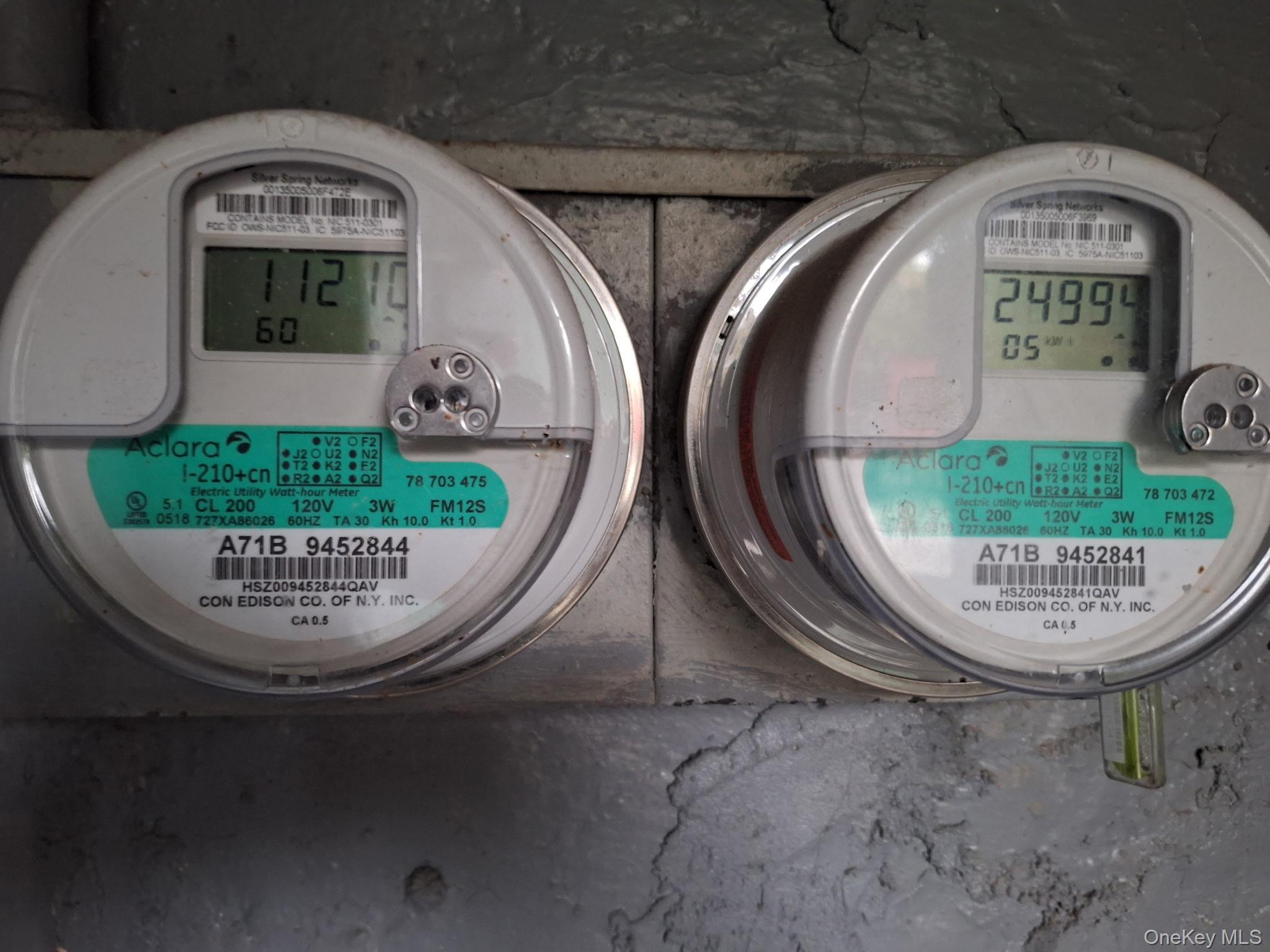 12 Danforth Street, Brooklyn, NY 11208