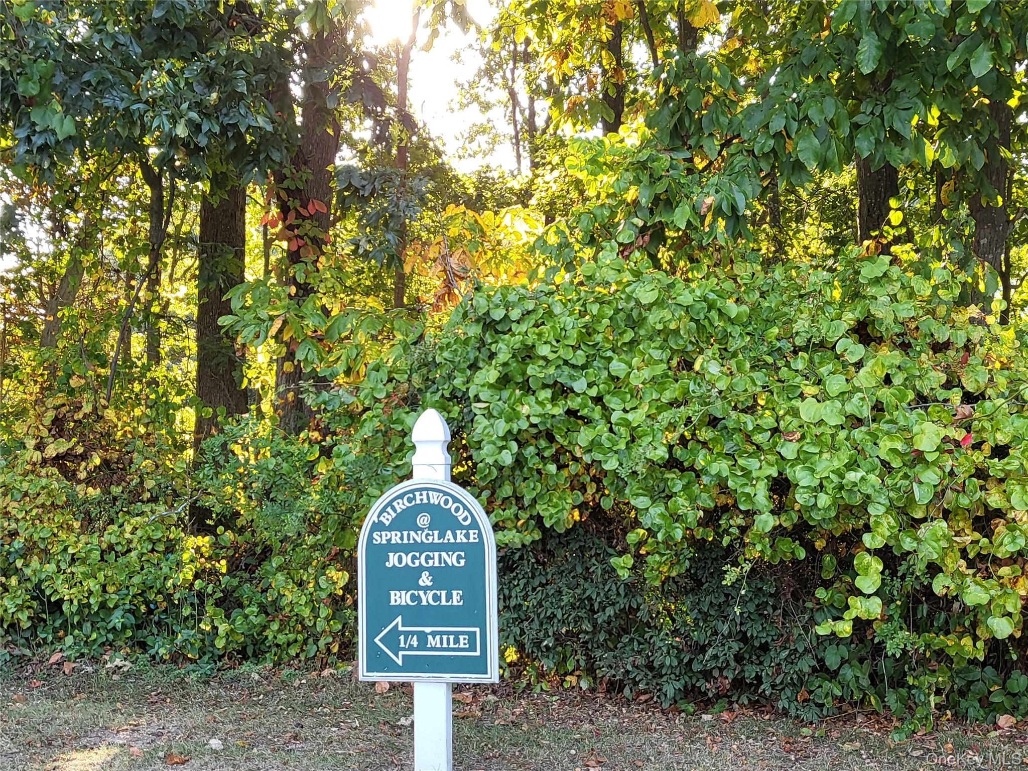 48 Kate Circle, Middle Island, NY 11953