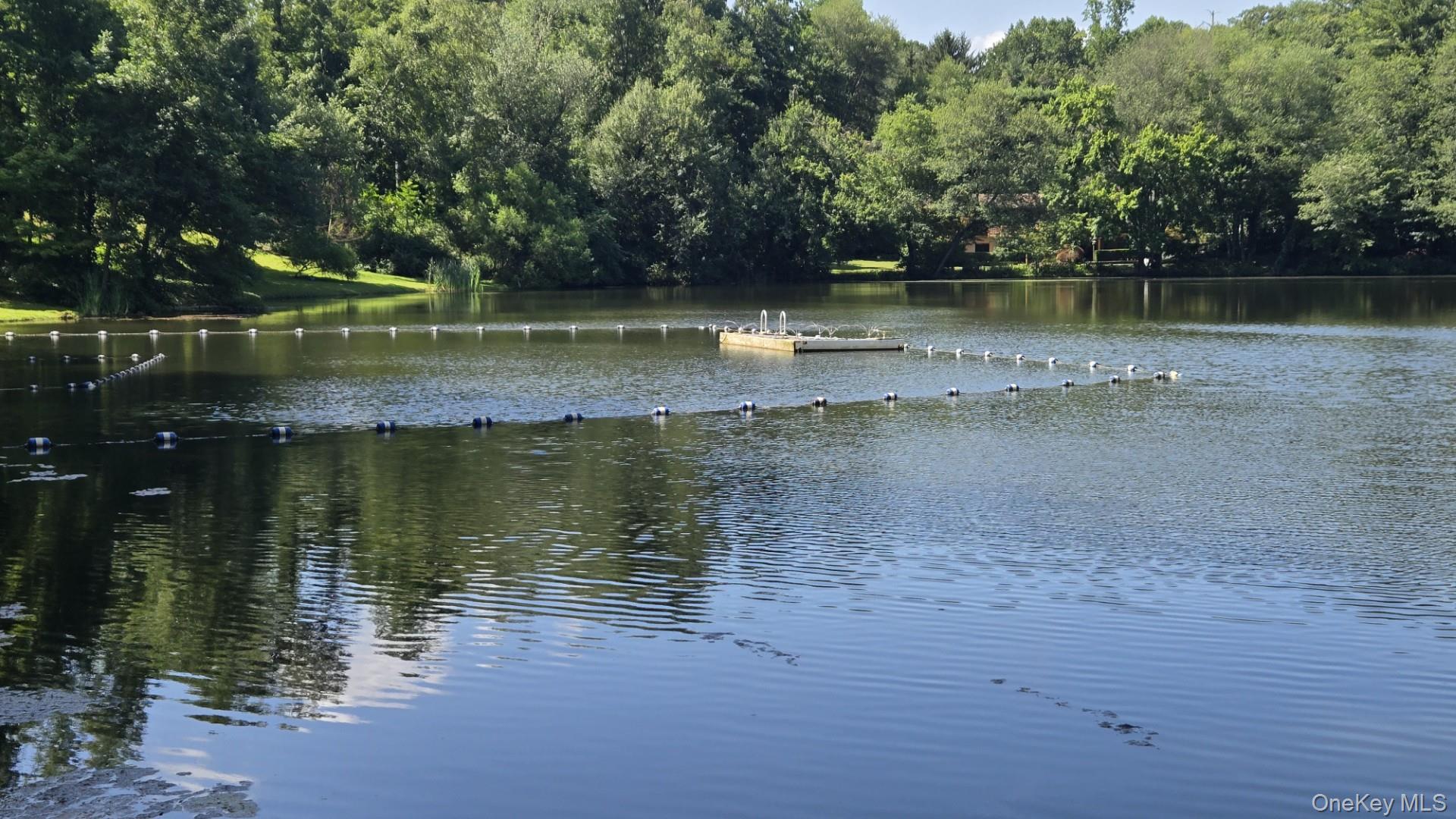 20 Pamela Place, Millwood, NY 10546