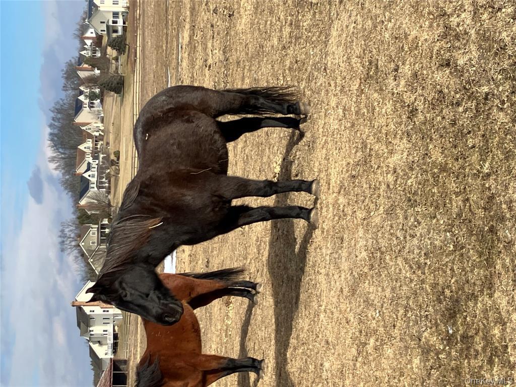 133 Ridgebury Road, New Hampton, NY 10958