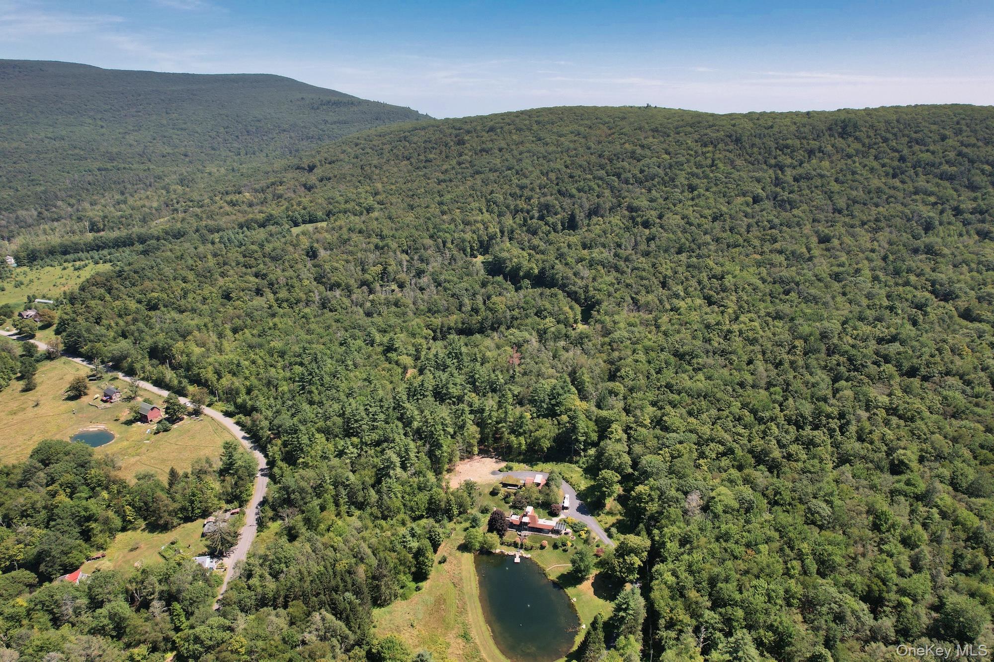 TBD MacDaniel Road, Bearsville, NY 12409