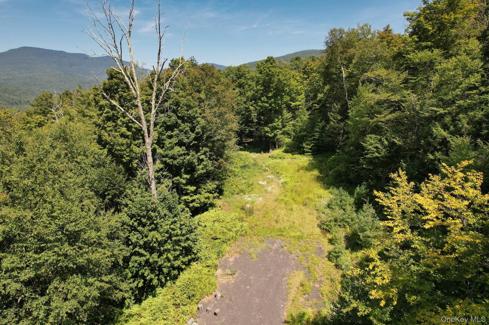 TBD MacDaniel Road, Bearsville, NY 12409