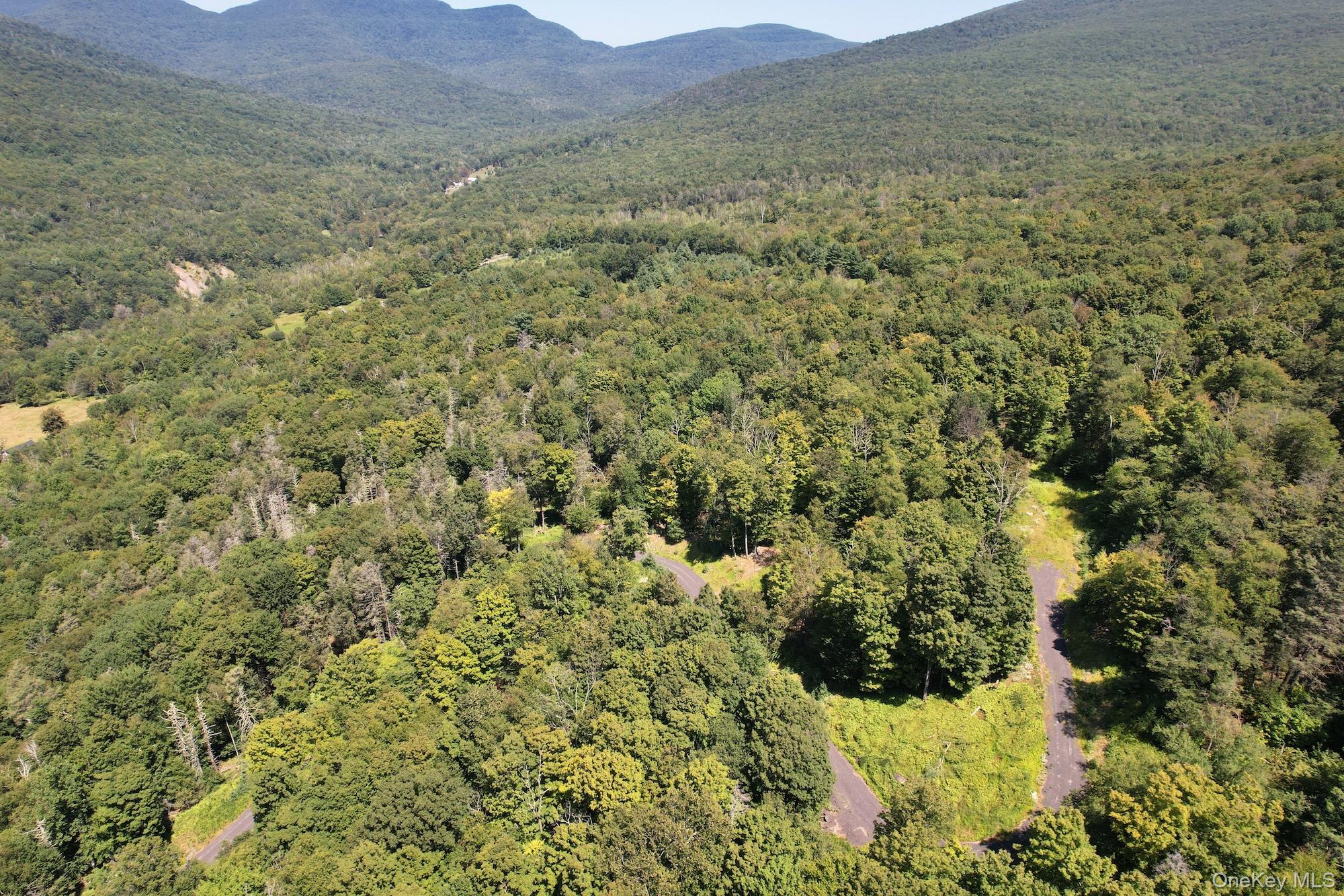 TBD MacDaniel Road, Bearsville, NY 12409