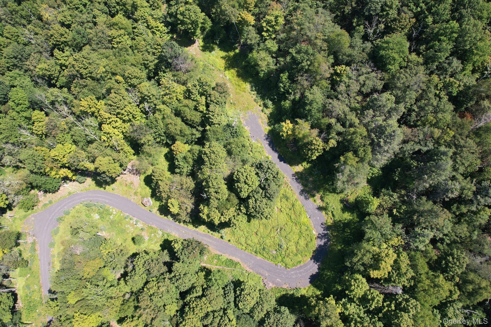 TBD MacDaniel Road, Bearsville, NY 12409