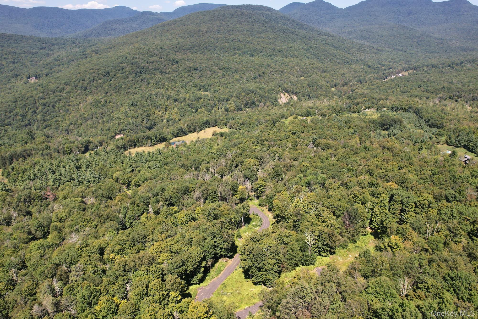 TBD MacDaniel Road, Bearsville, NY 12409