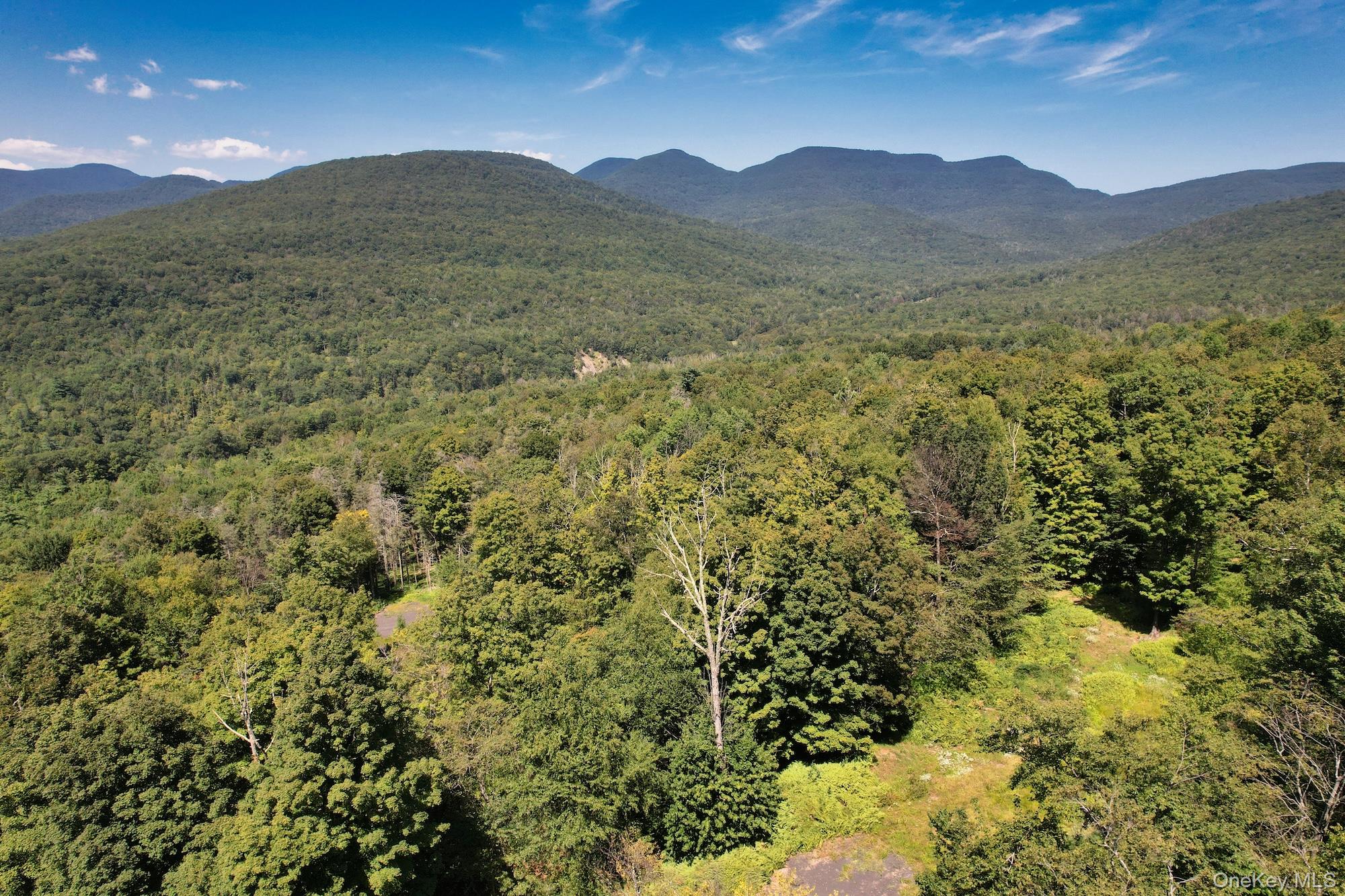 TBD MacDaniel Road, Bearsville, NY 12409