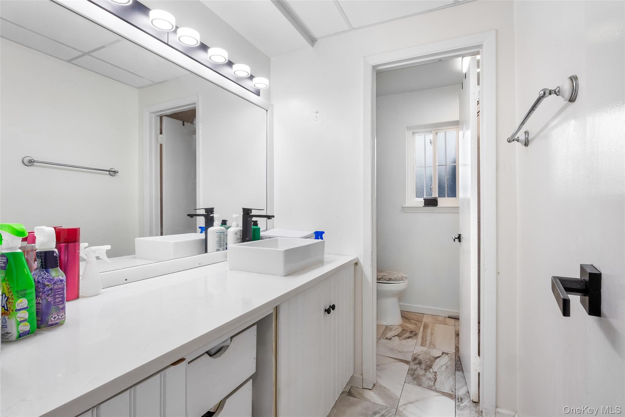 195 Lake Pointe Circle # 195, Middle Island, NY 11953