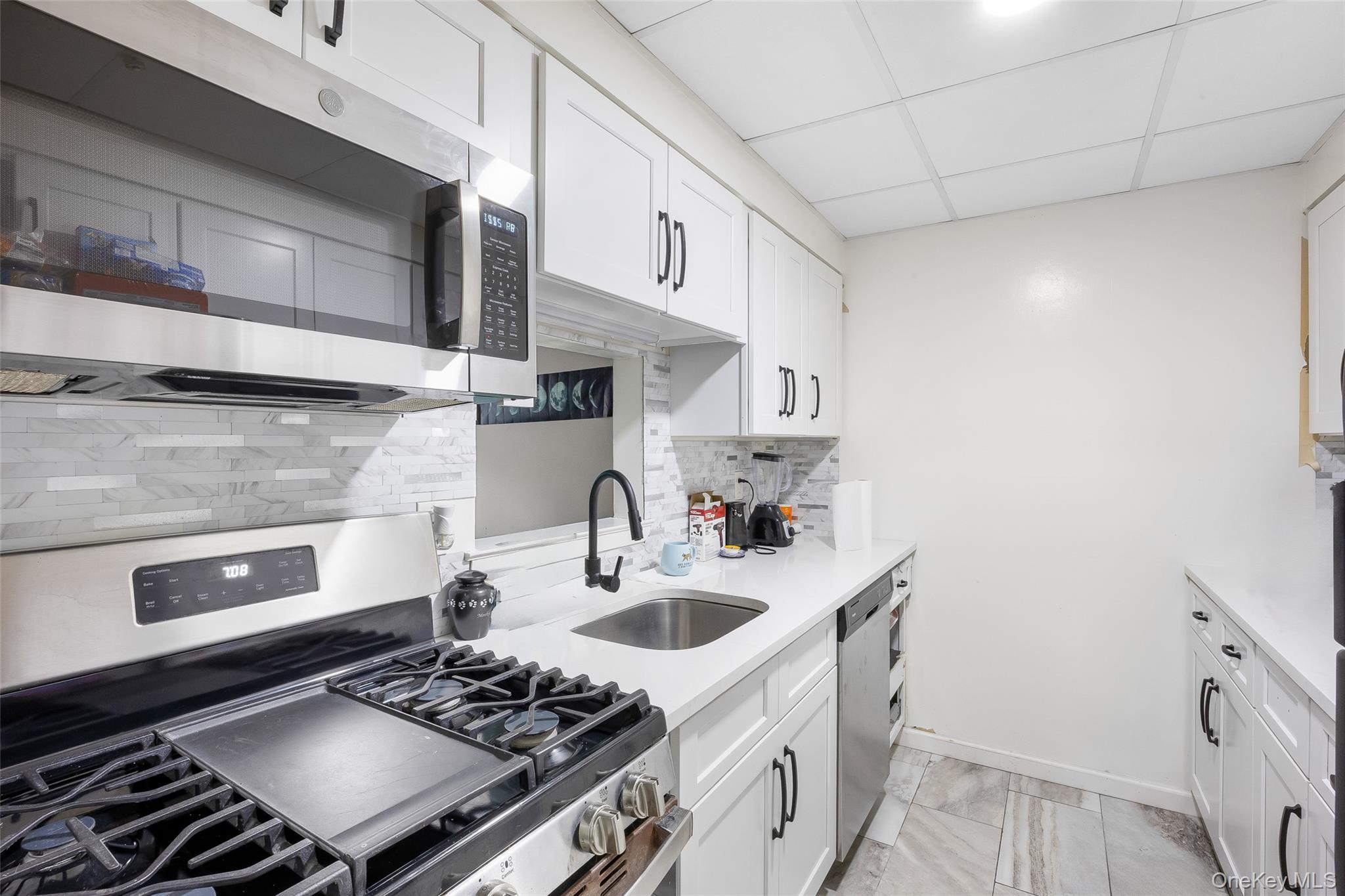 195 Lake Pointe Circle # 195, Middle Island, NY 11953