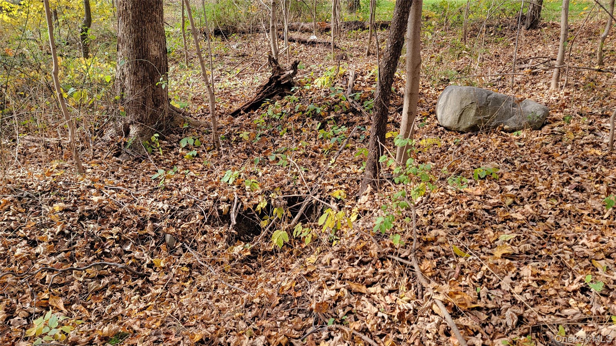 15 Rose Estates, Walden, NY 12586