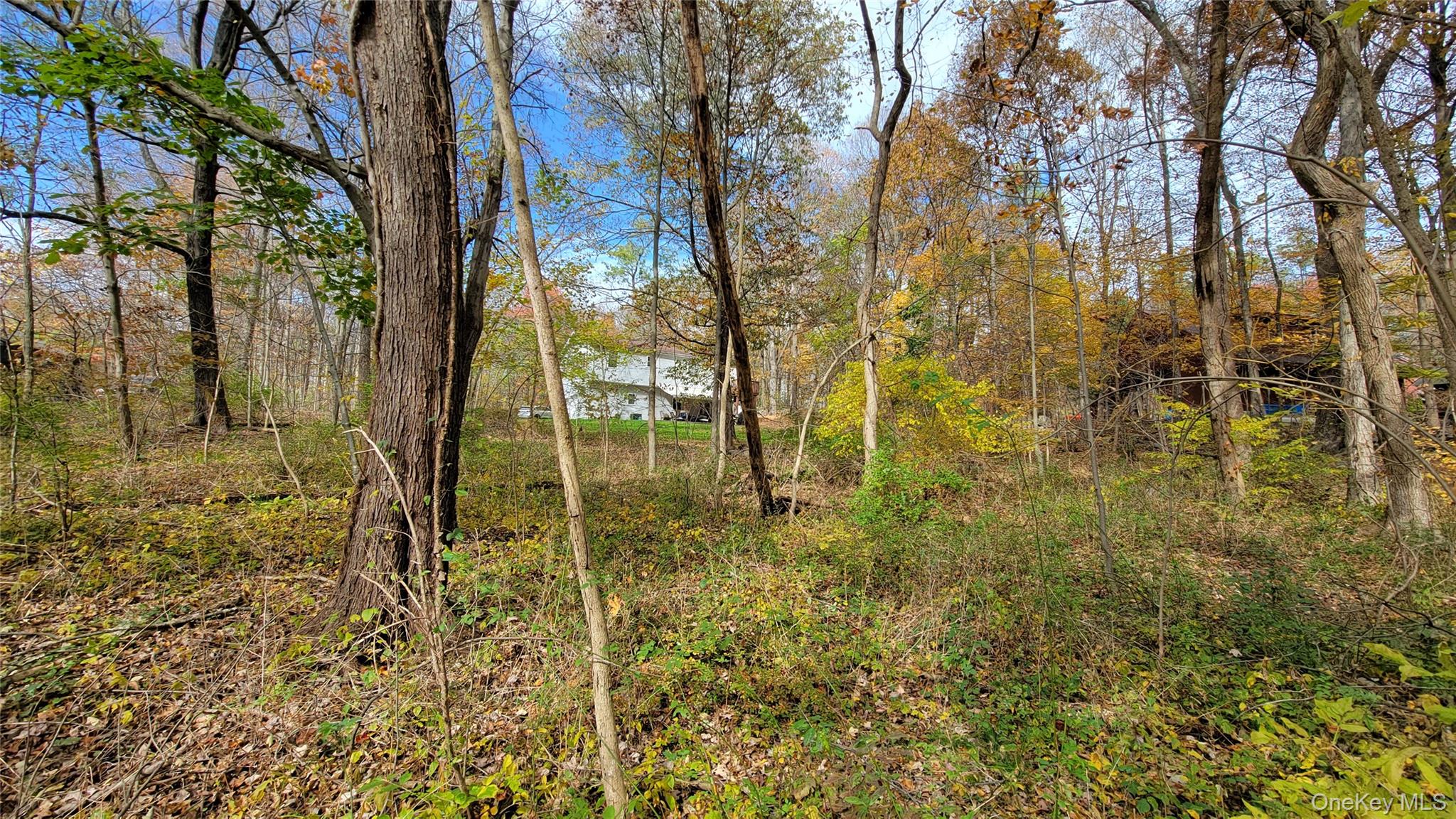 15 Rose Estates, Walden, NY 12586