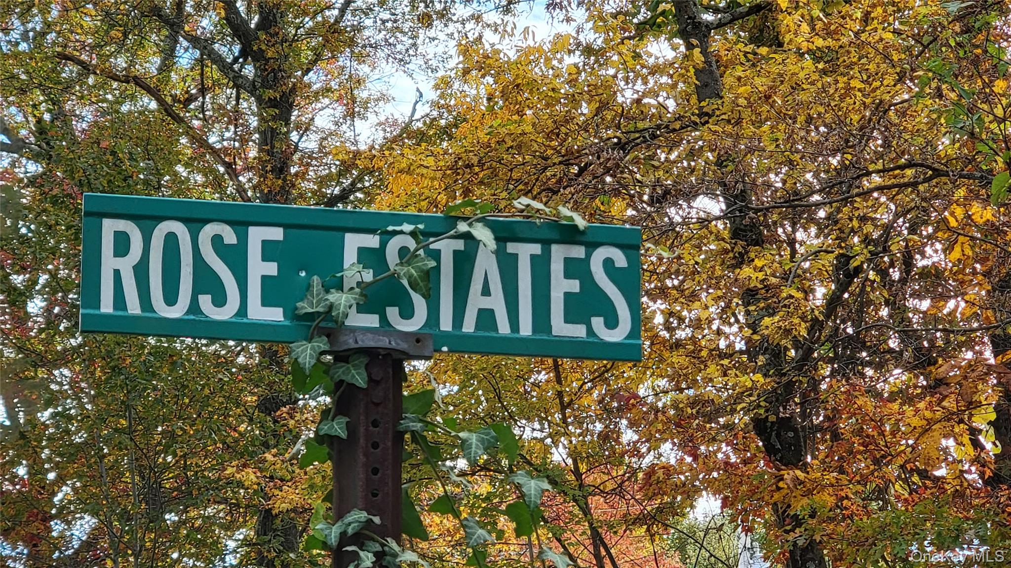 15 Rose Estates, Walden, NY 12586