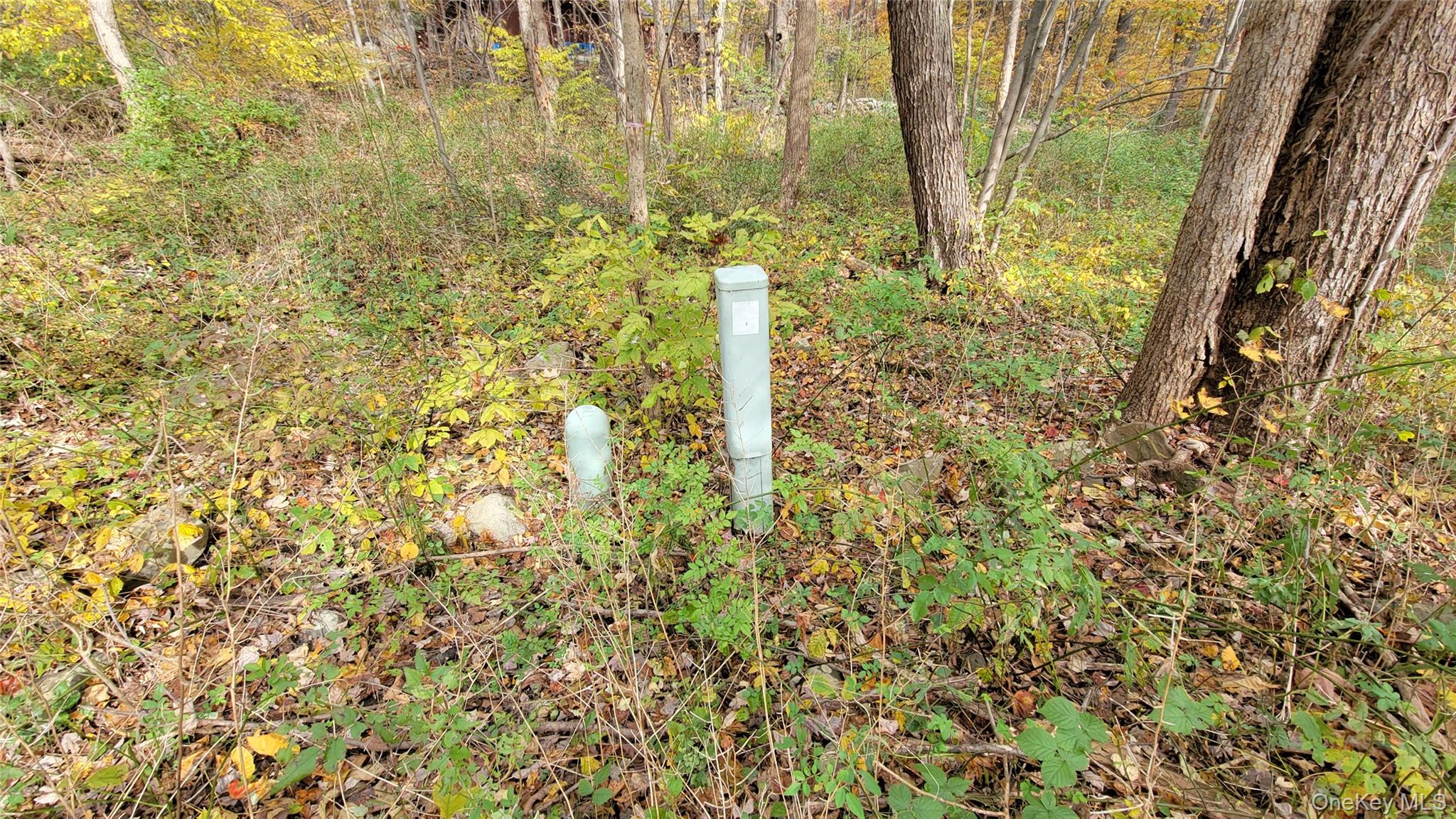 15 Rose Estates, Walden, NY 12586