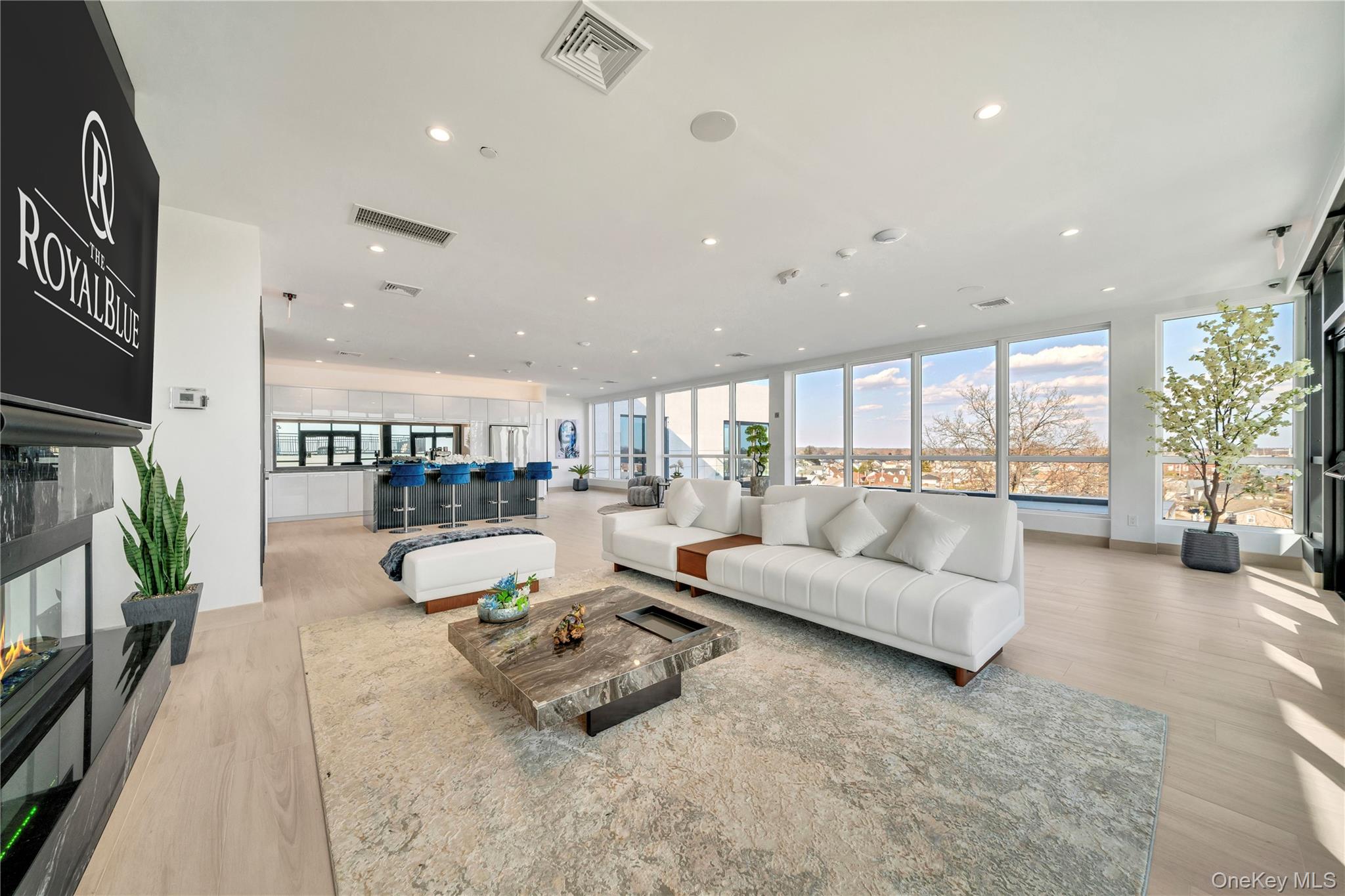 101 Searing Avenue # 306, Mineola, NY 11501