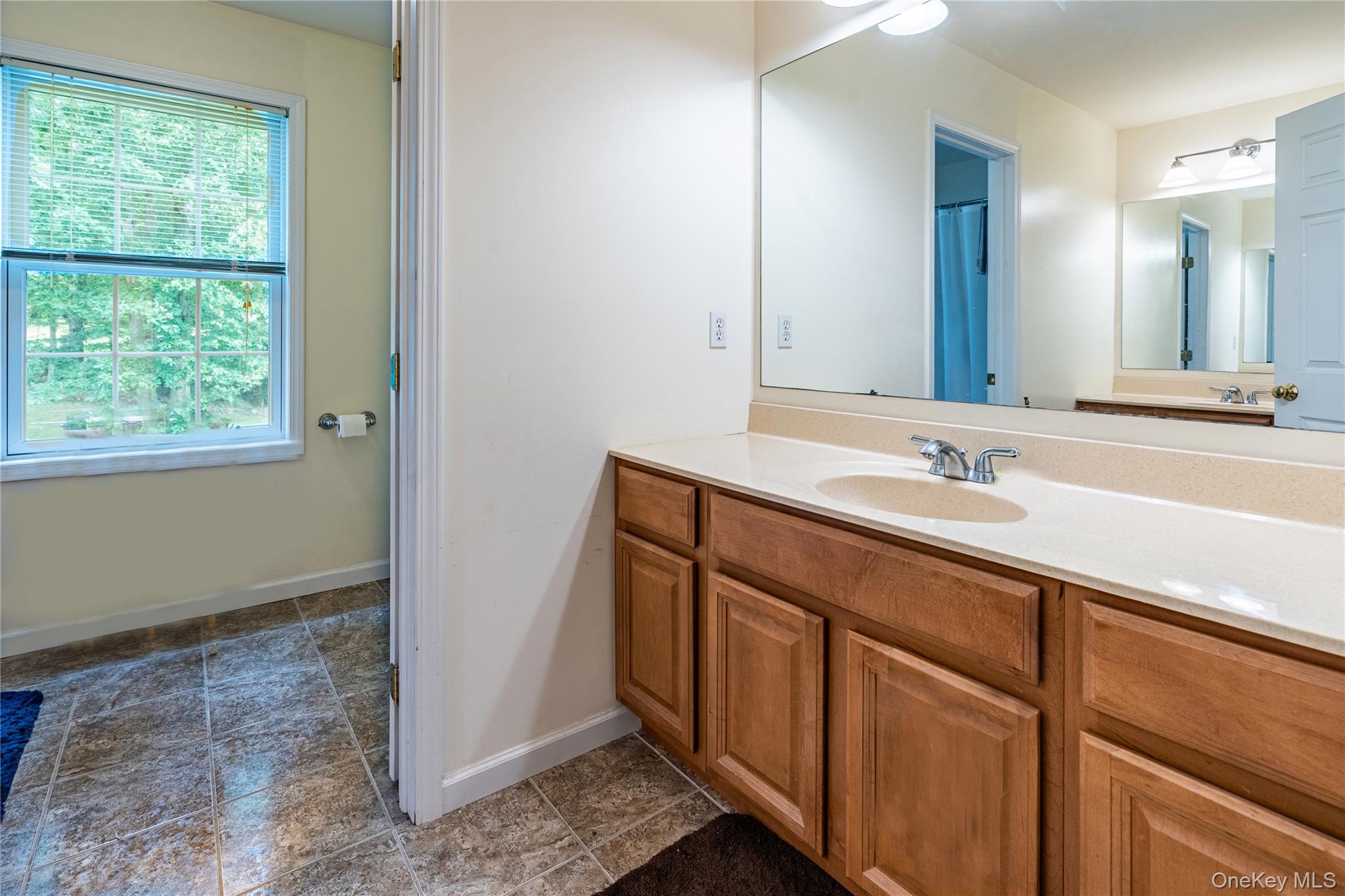 127 Shagbark Lane, Hopewell Junction, NY 12533