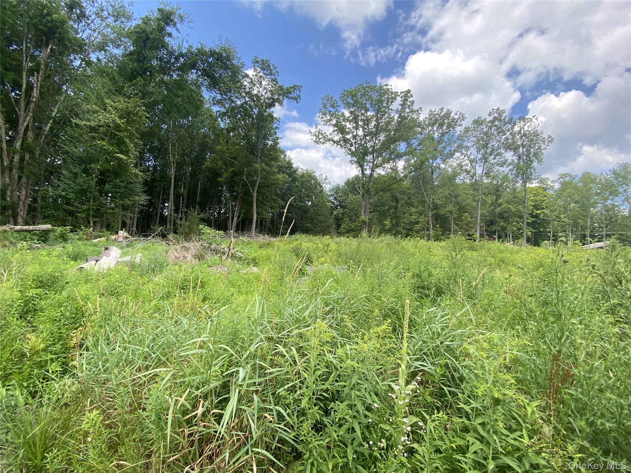 2823 NY52, Wallkill, NY 12566