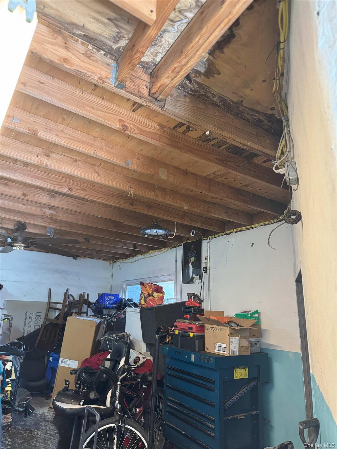 761 Miller Avenue, Brooklyn, NY 11207