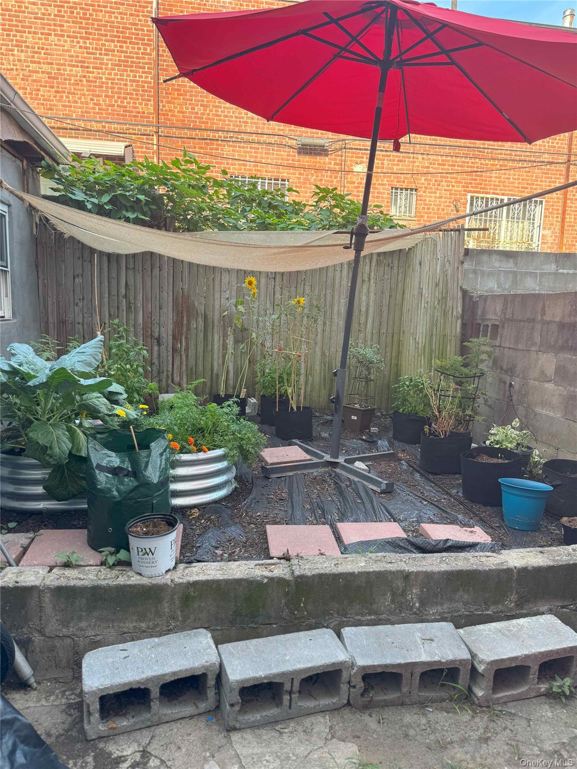 761 Miller Avenue, Brooklyn, NY 11207