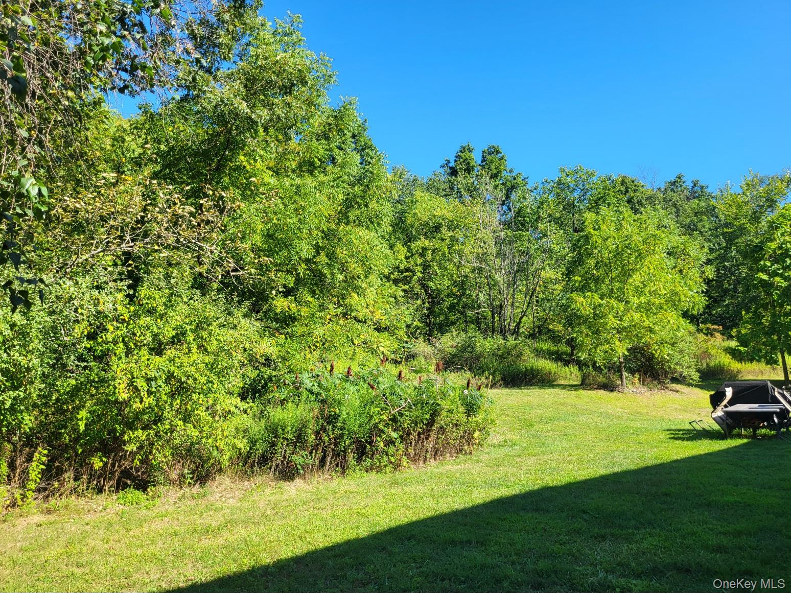 7 Bel Air Drive, Wallkill, NY 12589