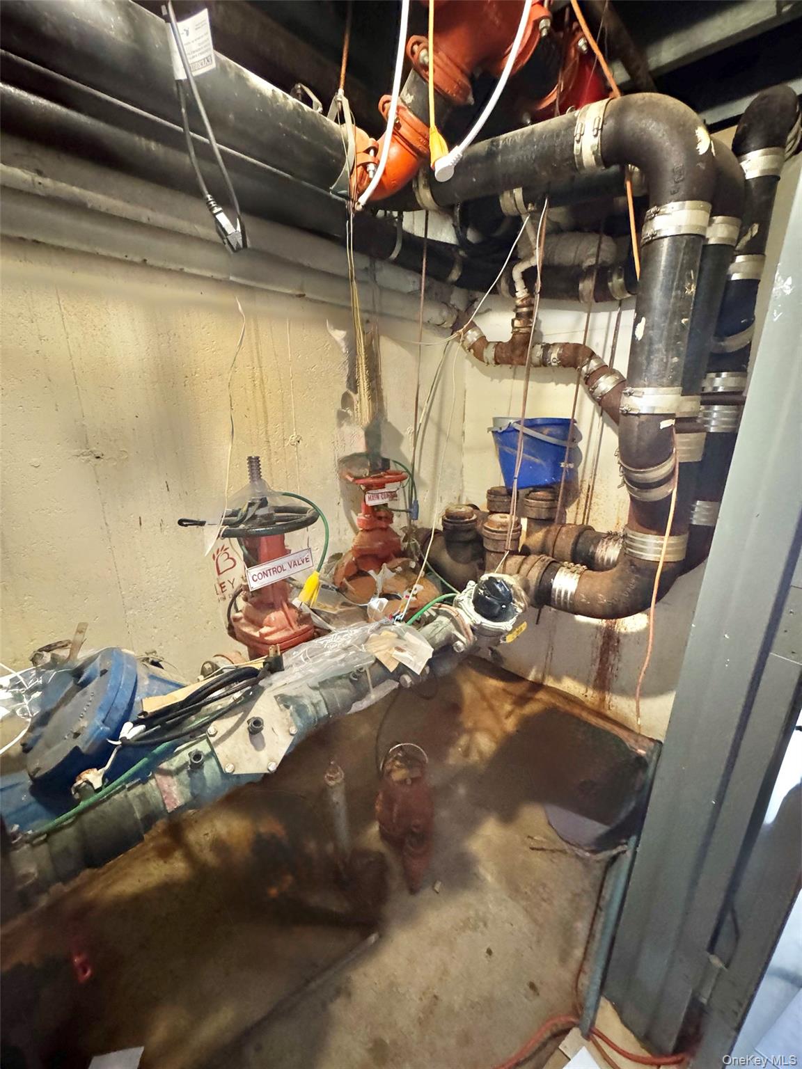 54 Avenue W, Brooklyn, NY 11223