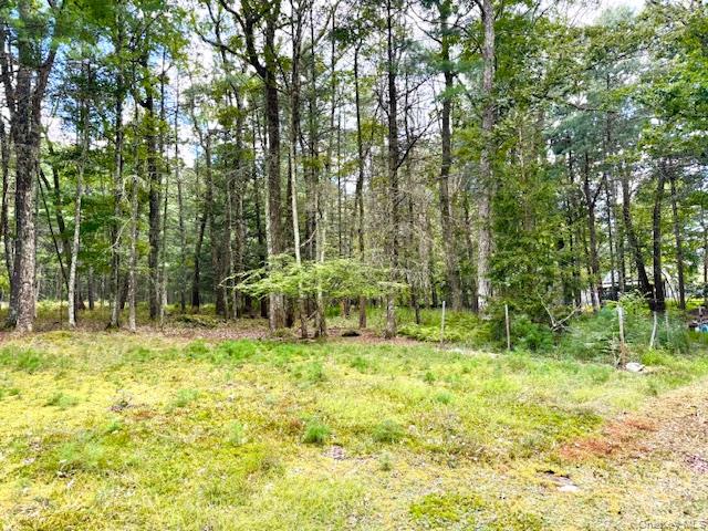 8 Anna Drive, Glen Spey, NY 12737