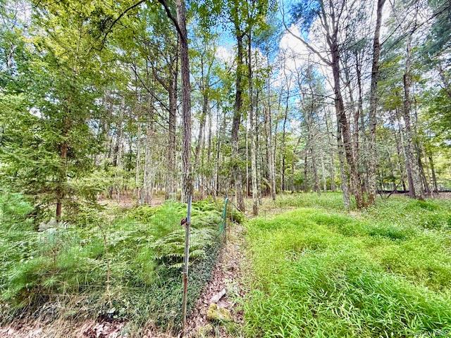 8 Anna Drive, Glen Spey, NY 12737