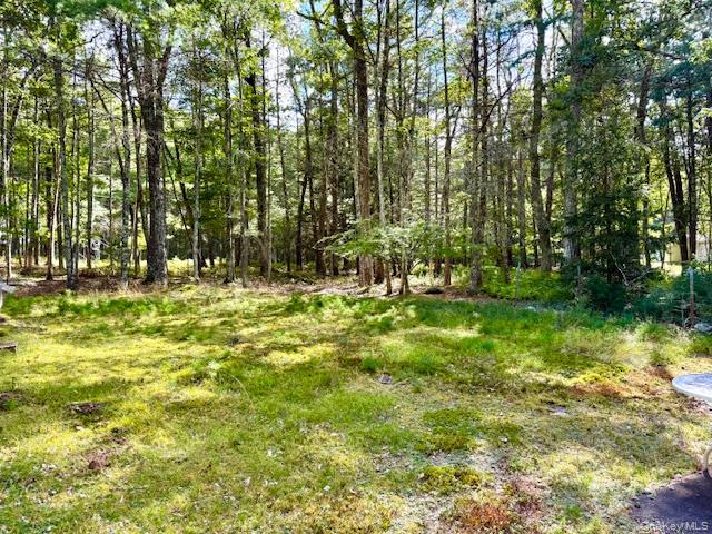 8 Anna Drive, Glen Spey, NY 12737