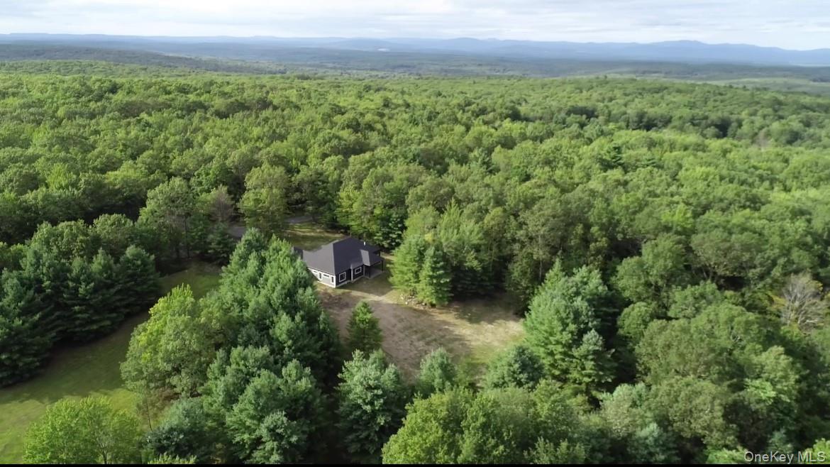 58 Dunn Town Road, Wurtsboro, NY 12790