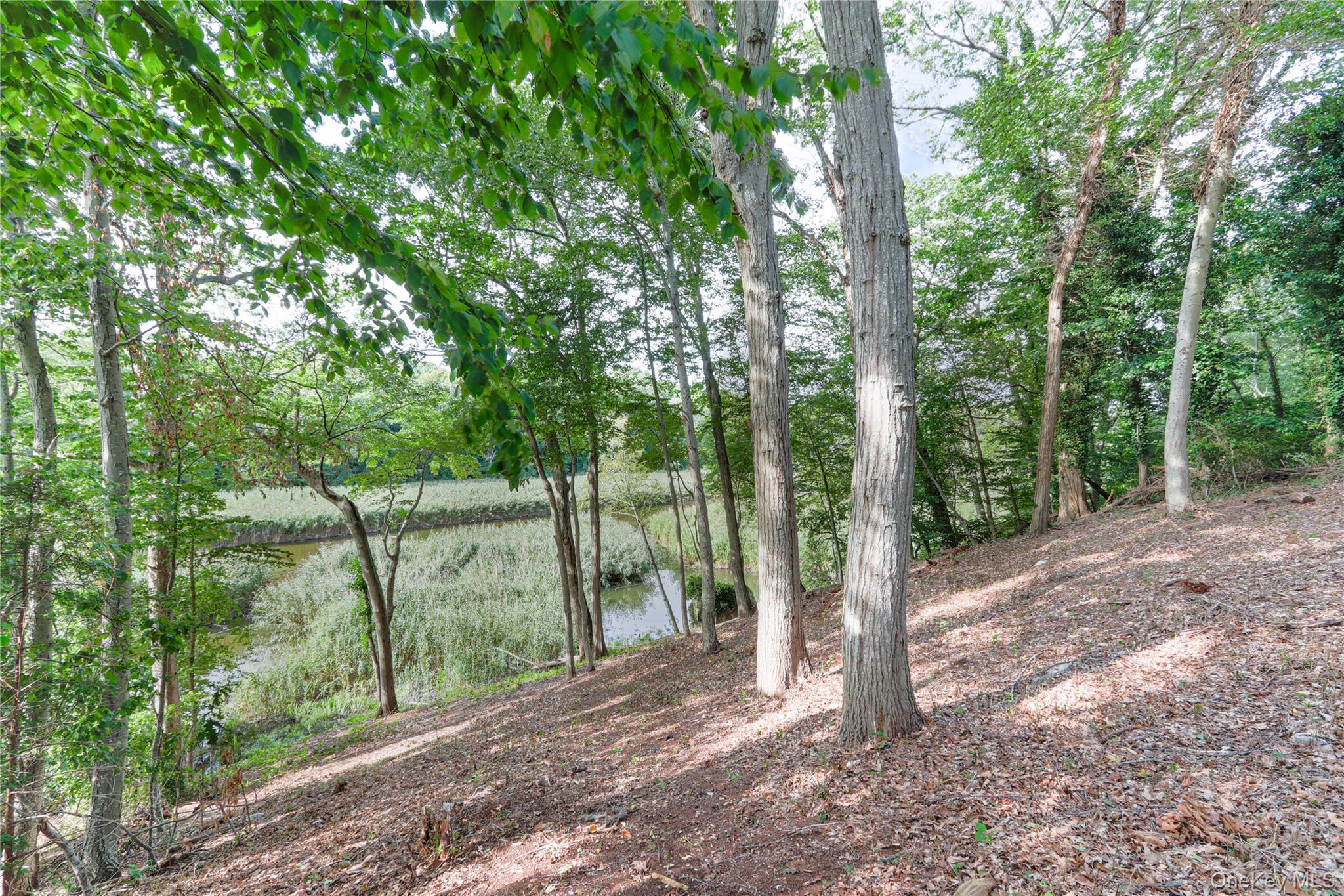 22 Whitney Gate, Smithtown, NY 11787