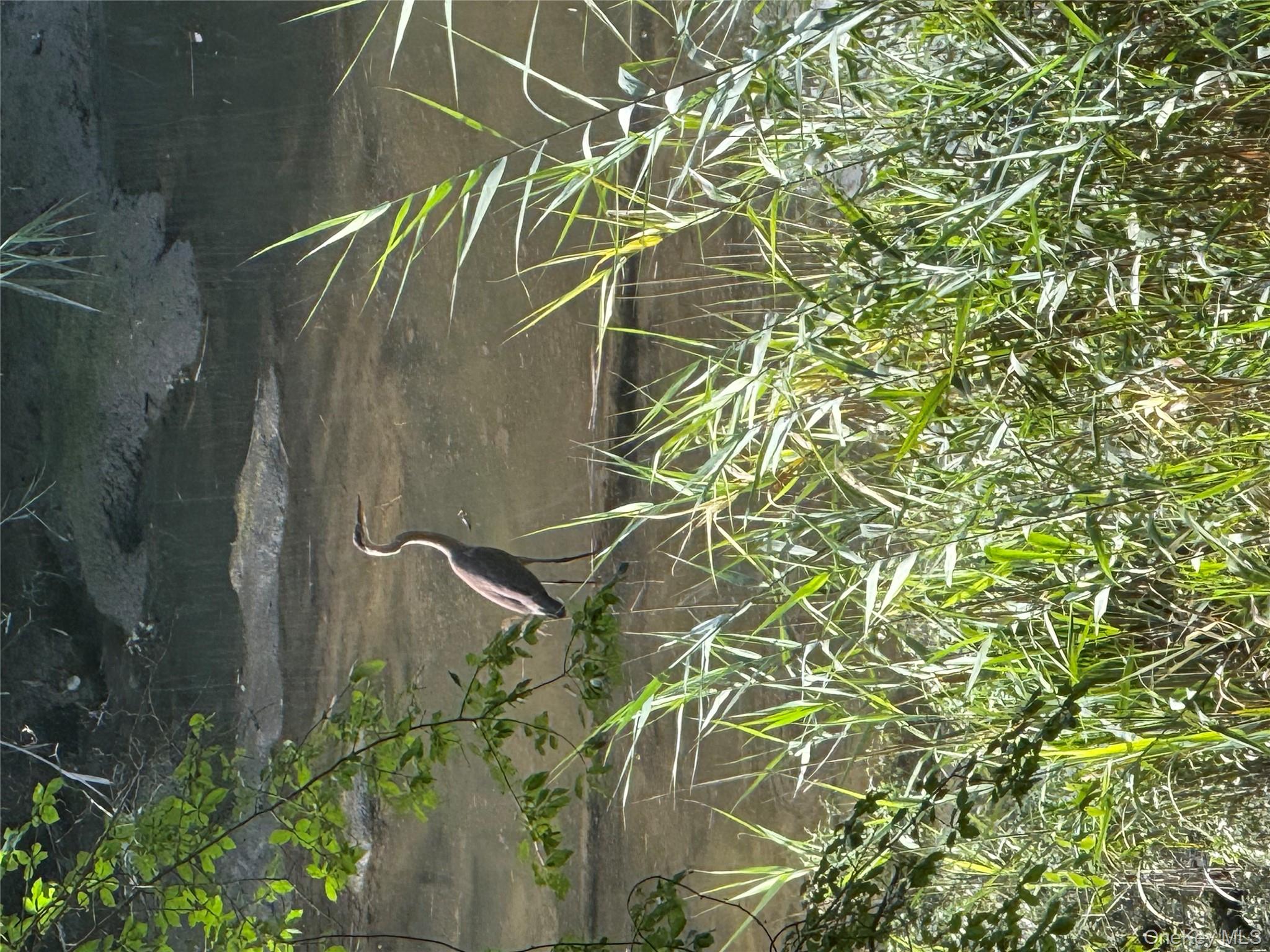 22 Whitney Gate, Smithtown, NY 11787