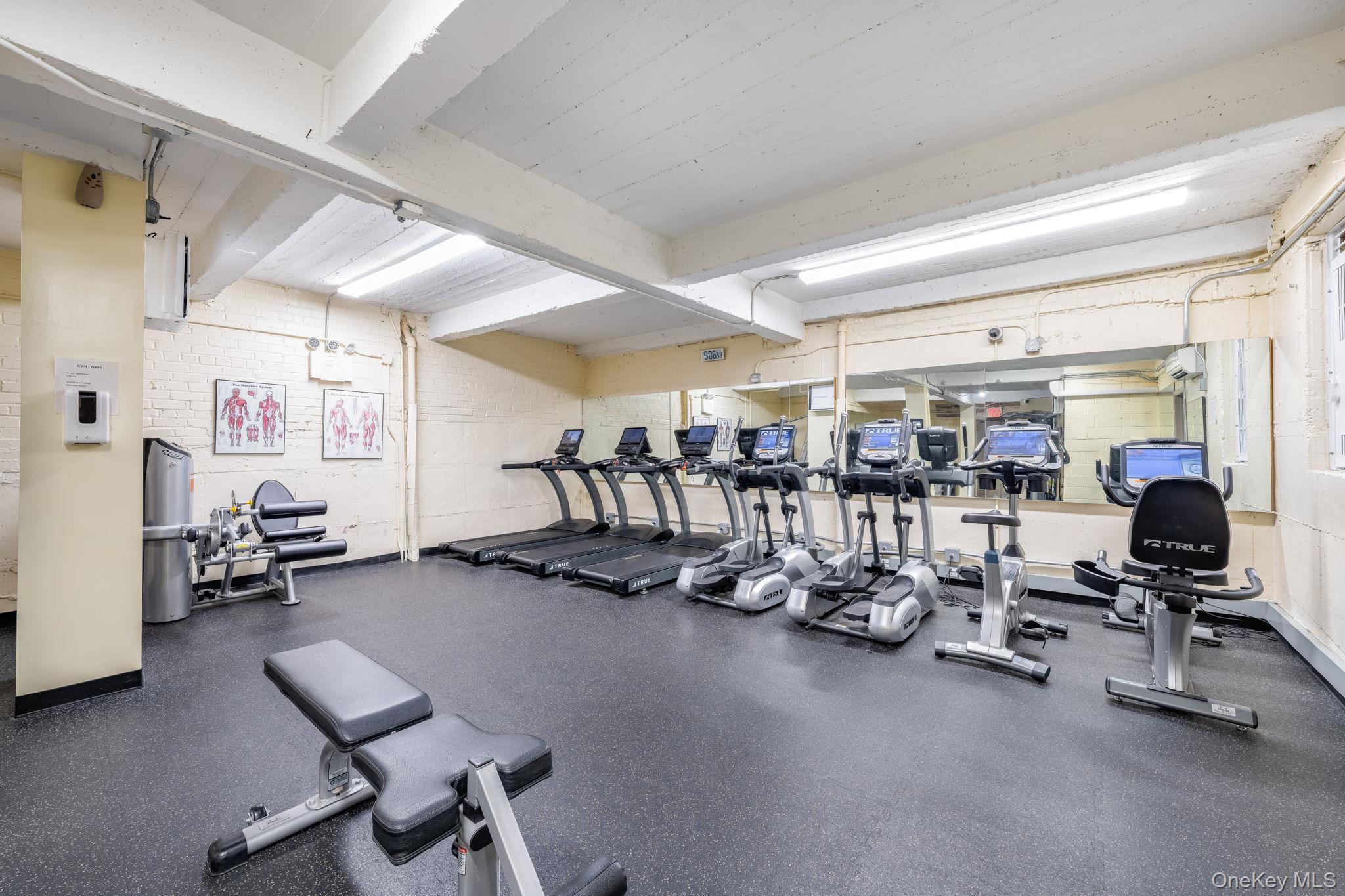 84-01 Main Street # 107, Briarwood, NY 11435