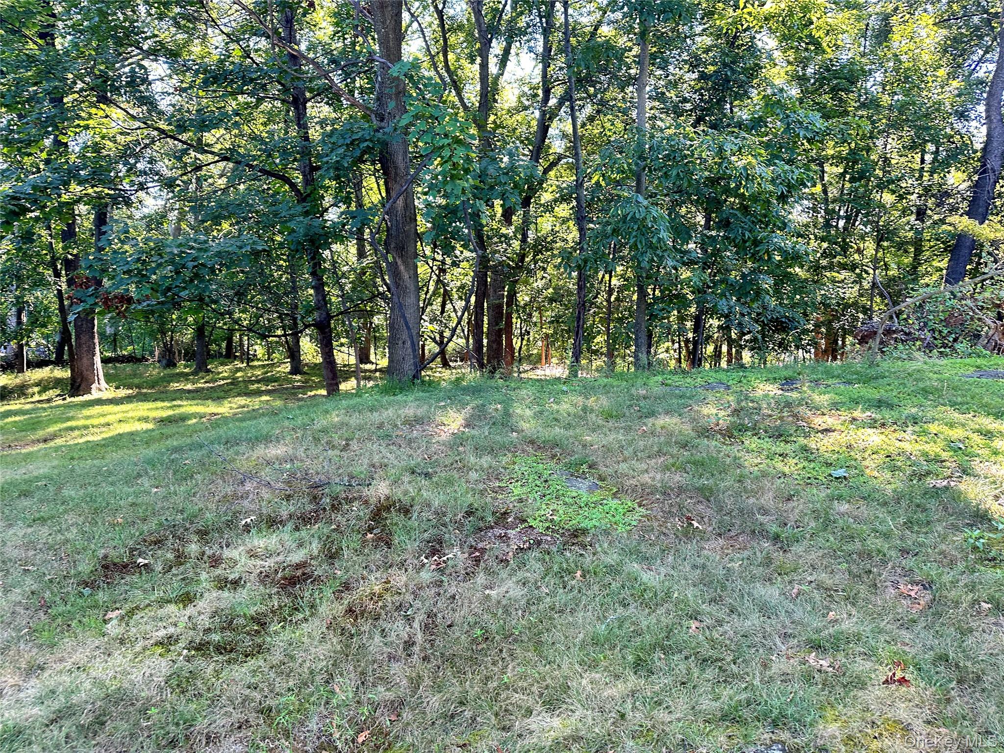 14 S Delaware Drive, Nyack, NY 10960