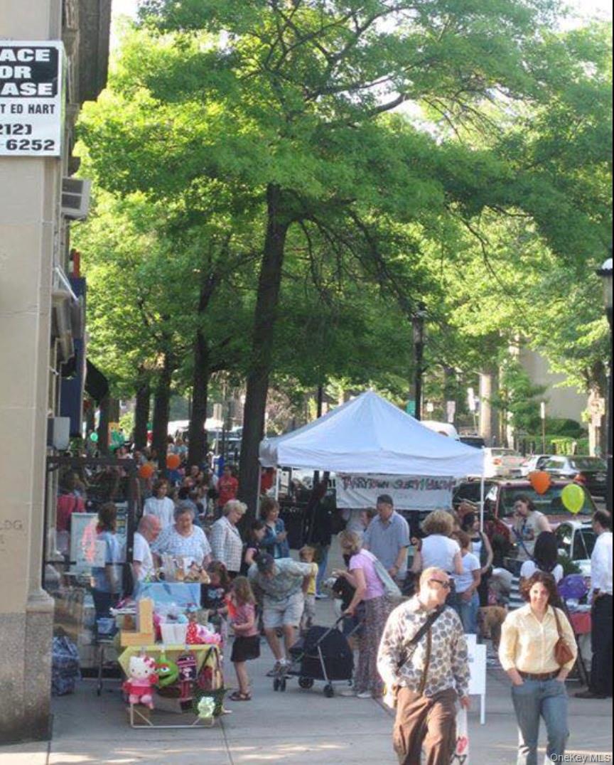 251 Kelbourne Avenue, Sleepy Hollow, NY 10591