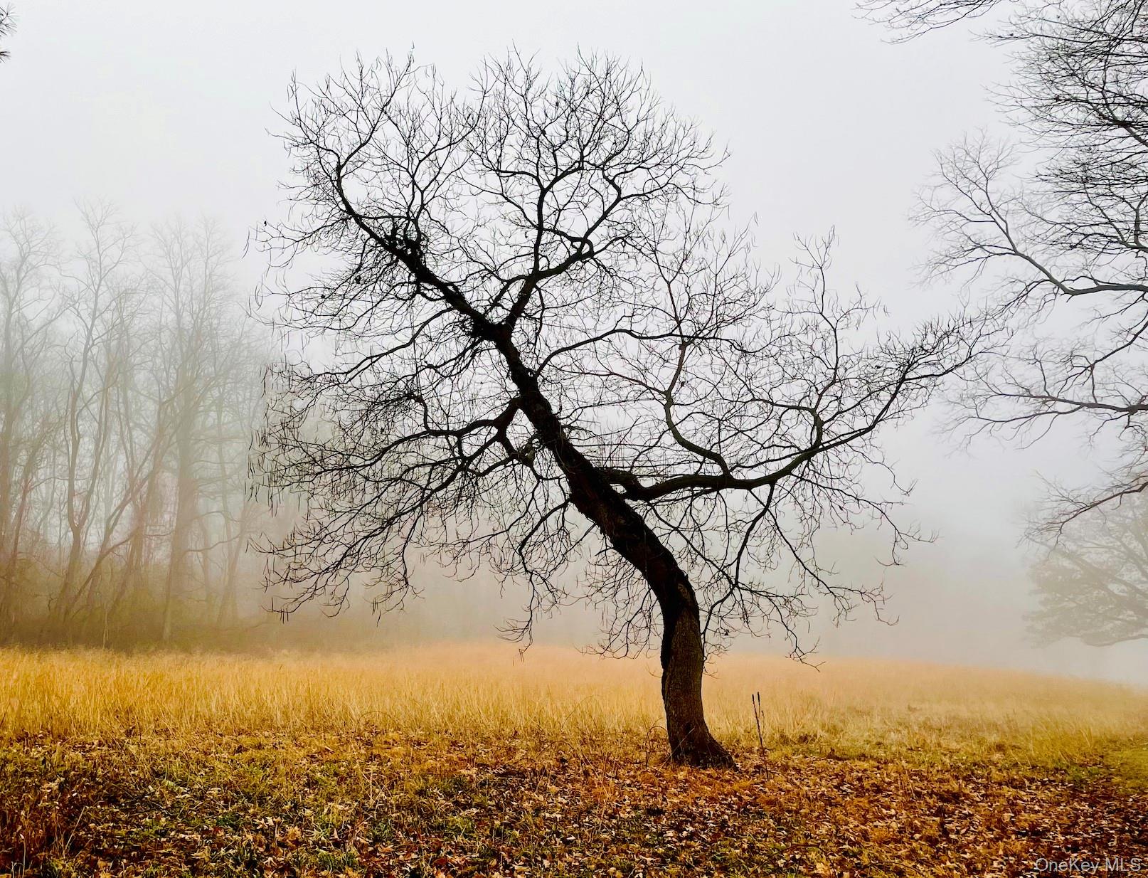 251 Kelbourne Avenue, Sleepy Hollow, NY 10591